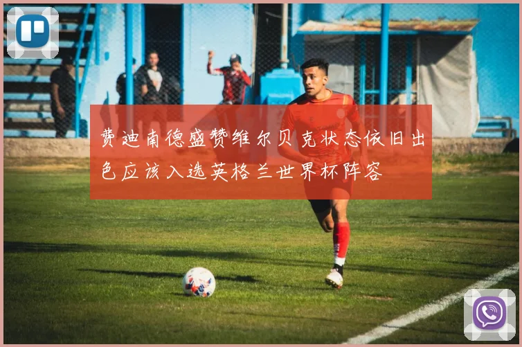 费迪南德盛赞维尔贝克状态依旧出色应该入选英格兰世界杯阵容
